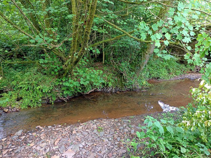 River Fenni