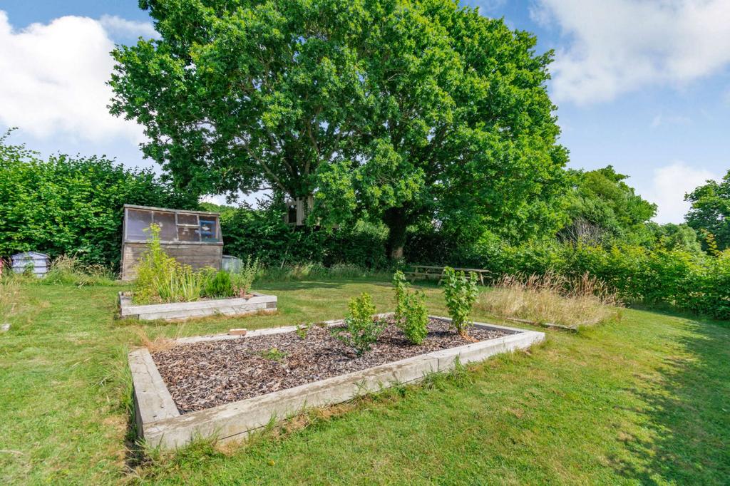 Vegetable Garden