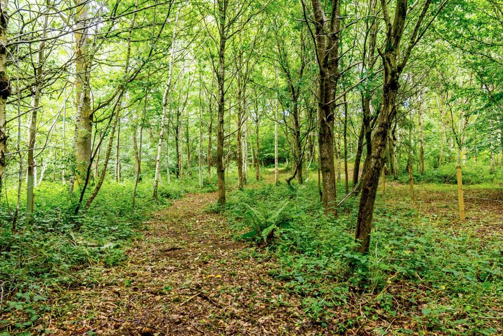 Wykehurst Lane, Ewhurst, Cranleigh, Surrey 5 bed detached house for