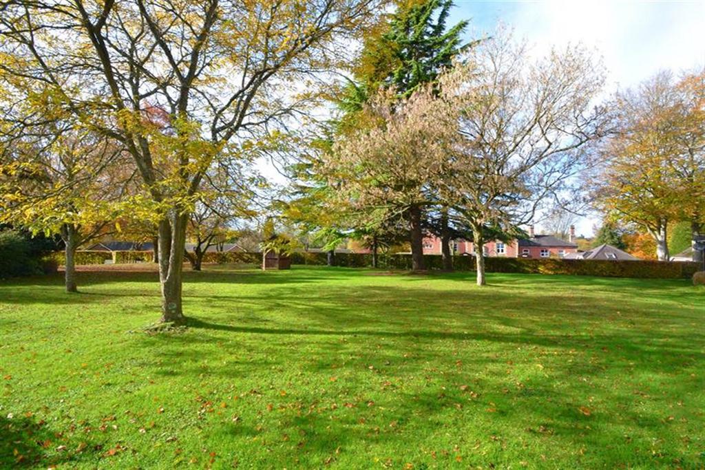 Grounds