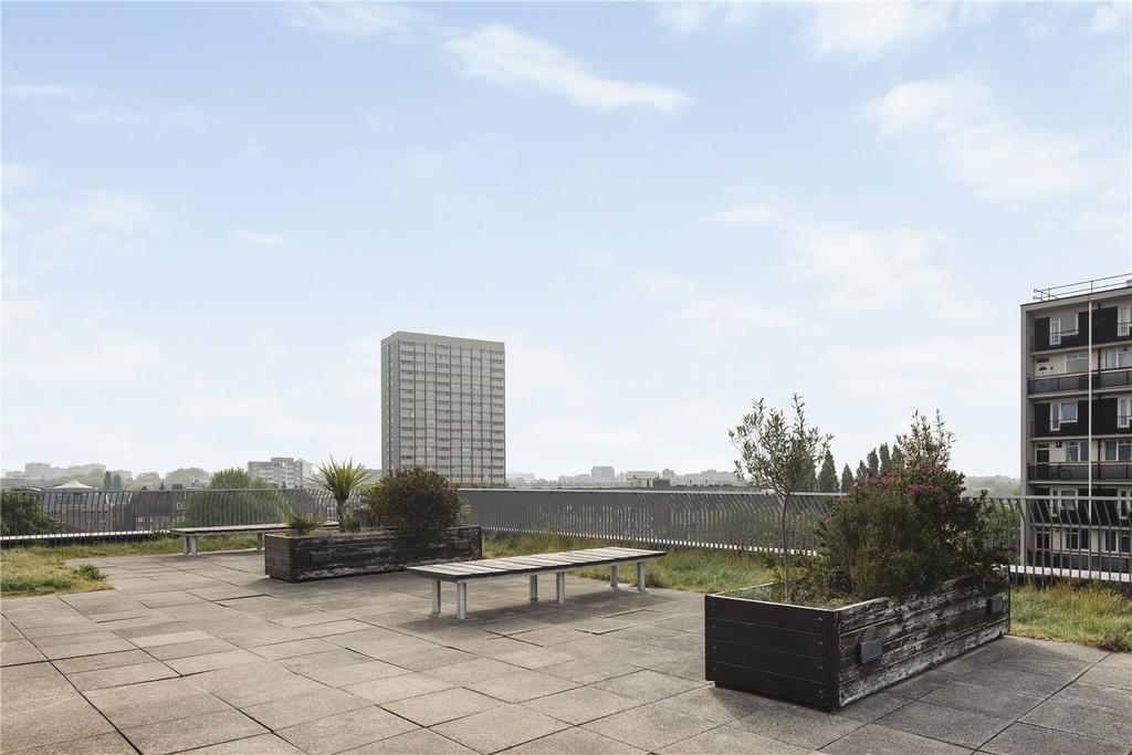 Roof Top