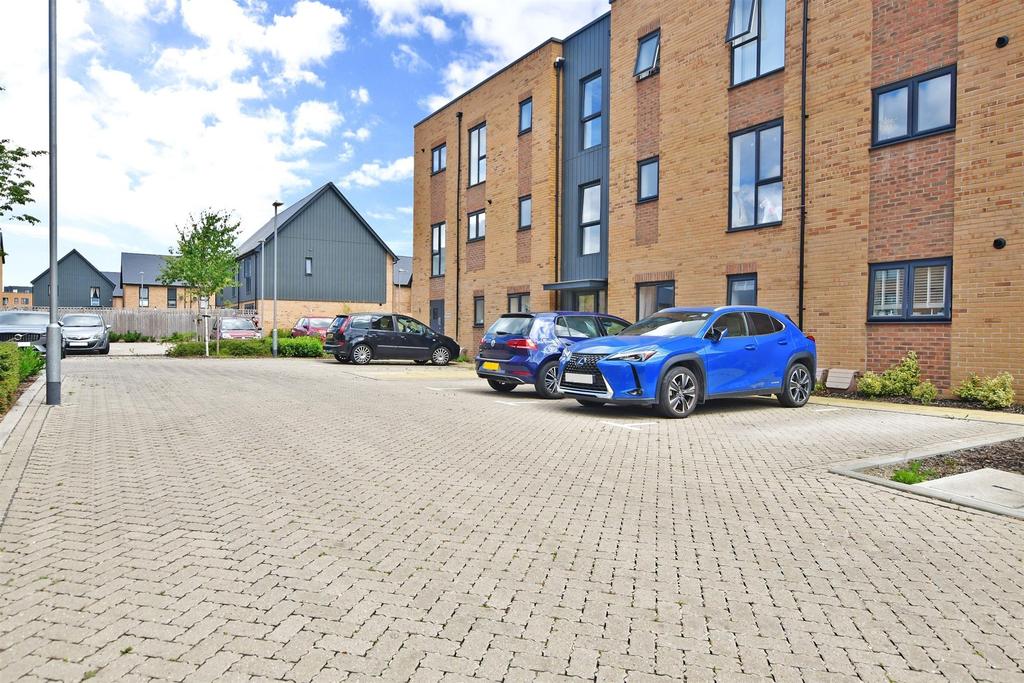 Driveway/Parking