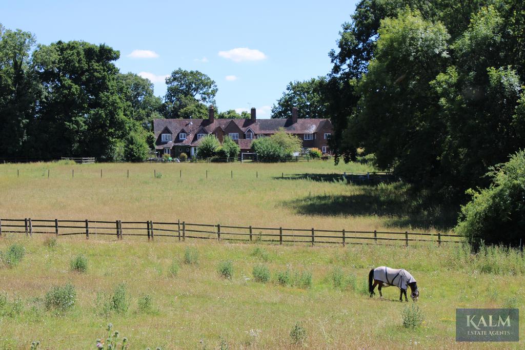 View to the house from rear lane