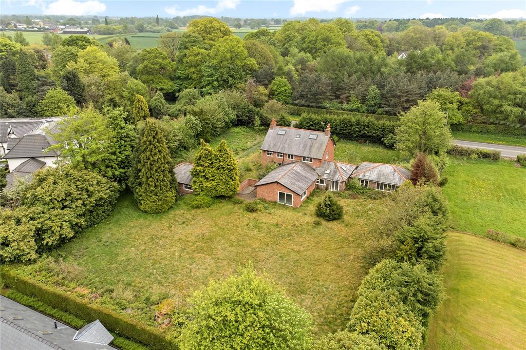 Plot Rear