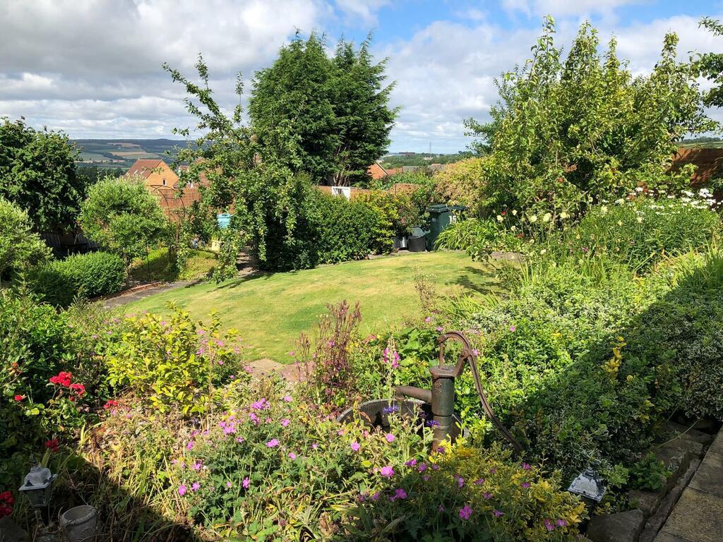 Garden 1.jpeg