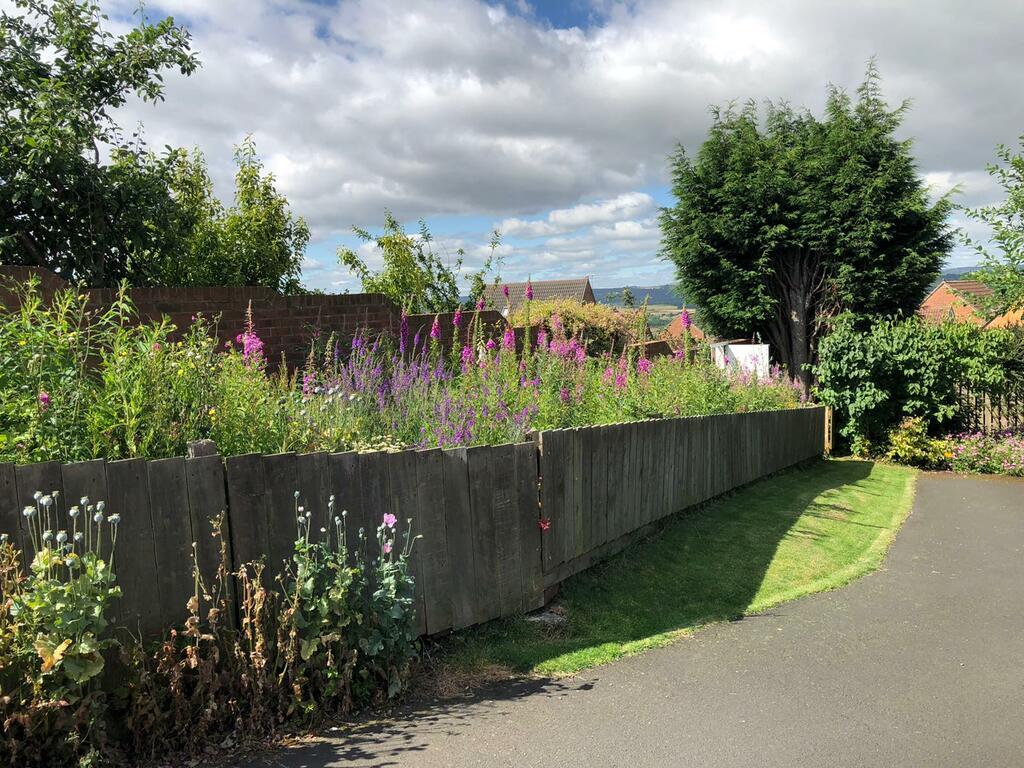 Driveway.jpeg