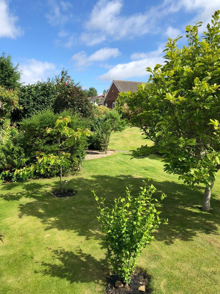 Gardens 4.jpeg