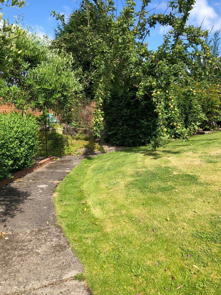 Garden path.jpeg