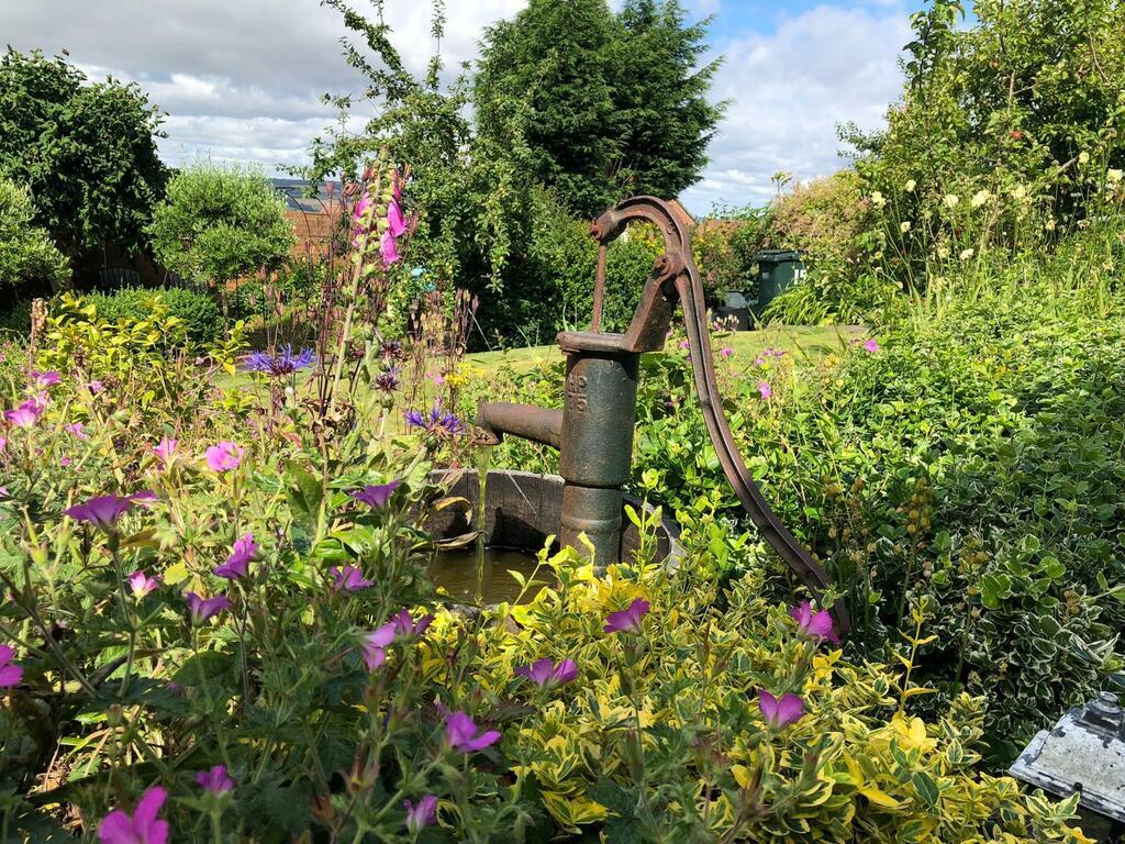 Garden 2.jpeg