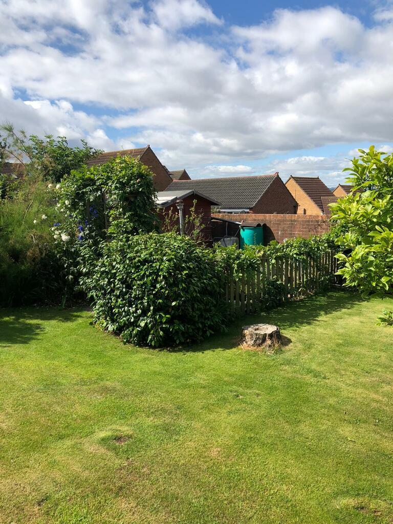 Gardens 3.jpeg