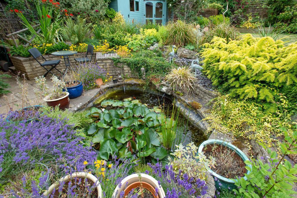 Rear garden