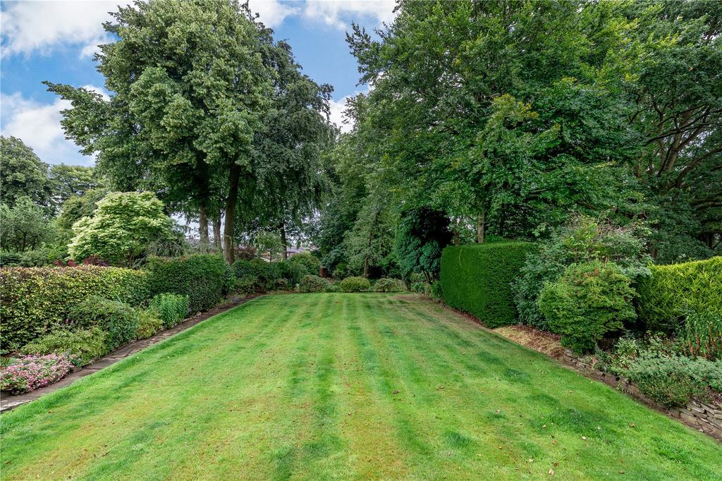 South Facing Garden