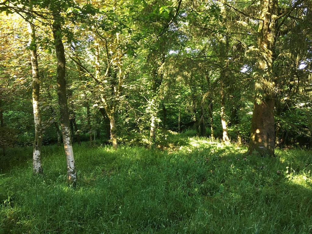 Img 4607.jpg