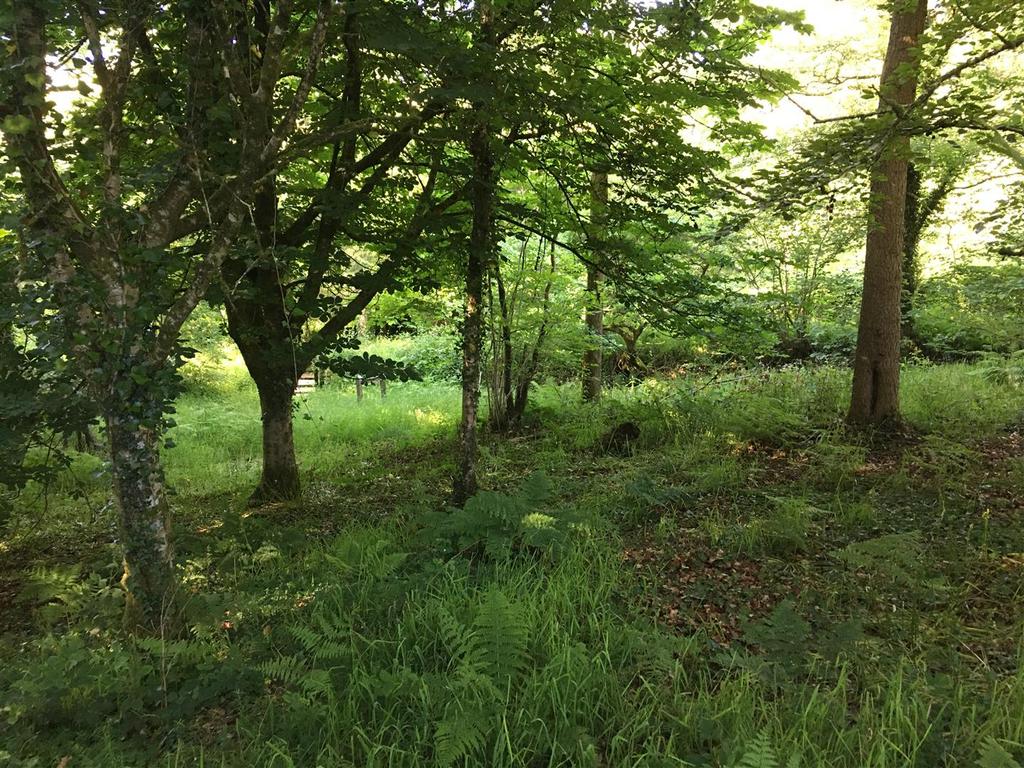 Img 4610.jpg