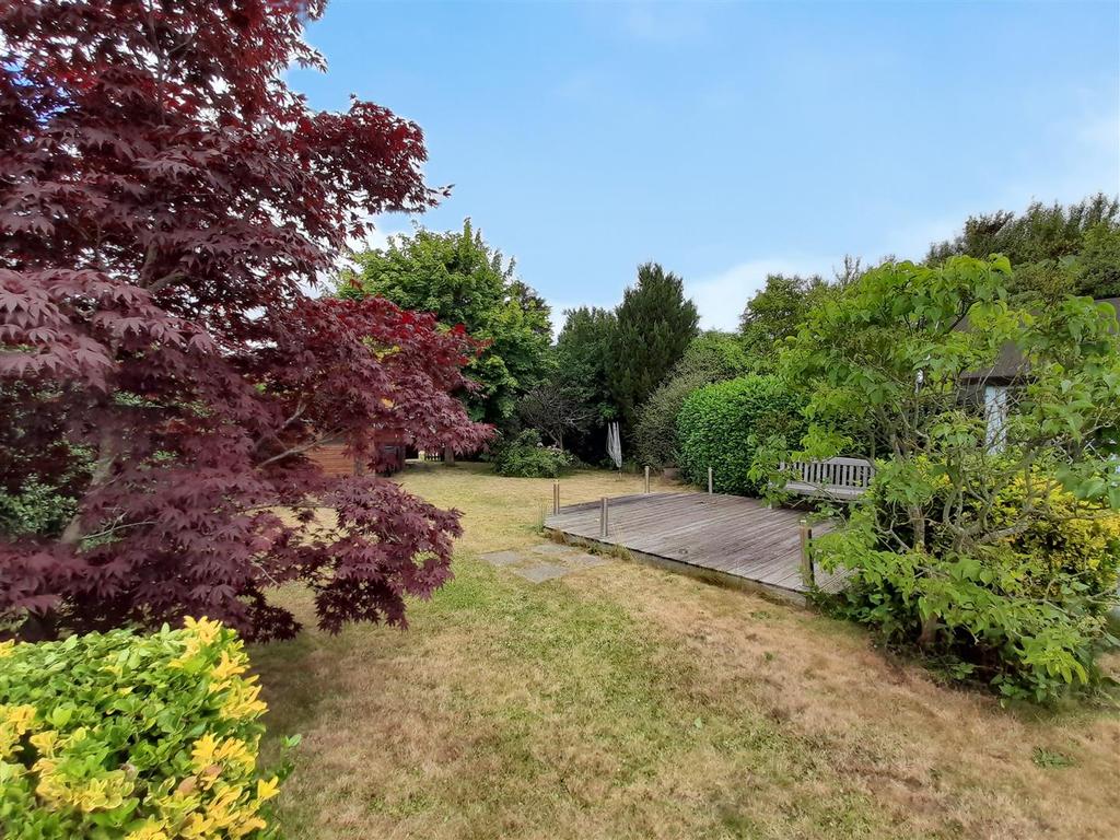 Rear garden sky.jpg