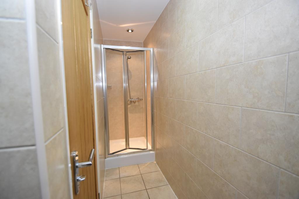 Apt 1 shower room
