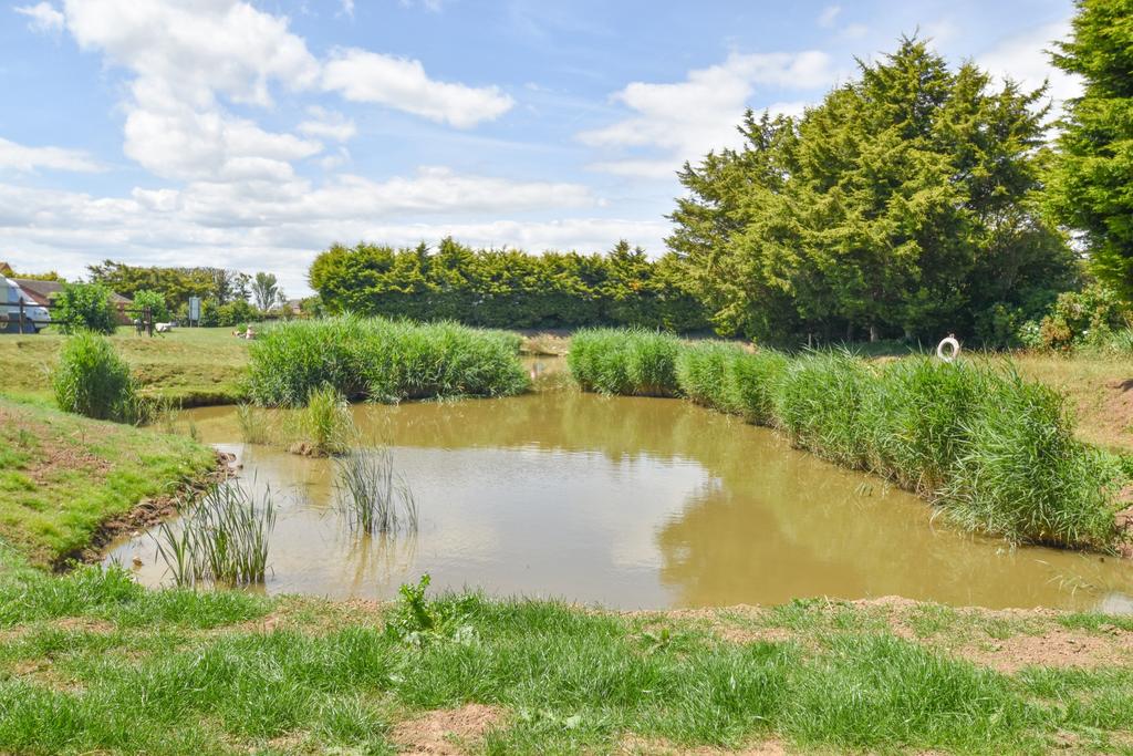 Fishing lake
