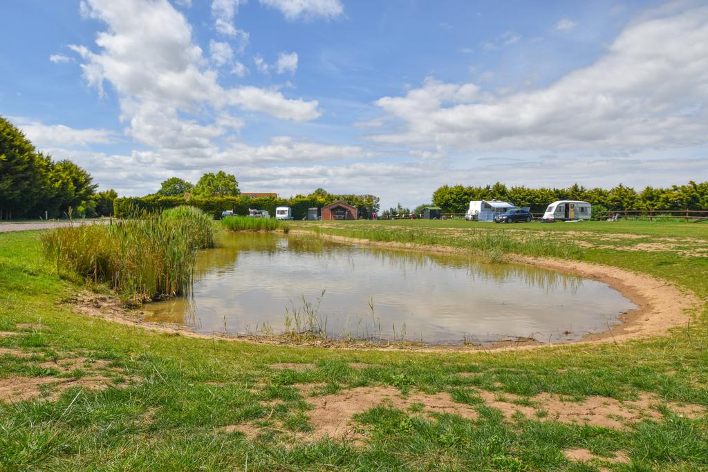 Stock pond