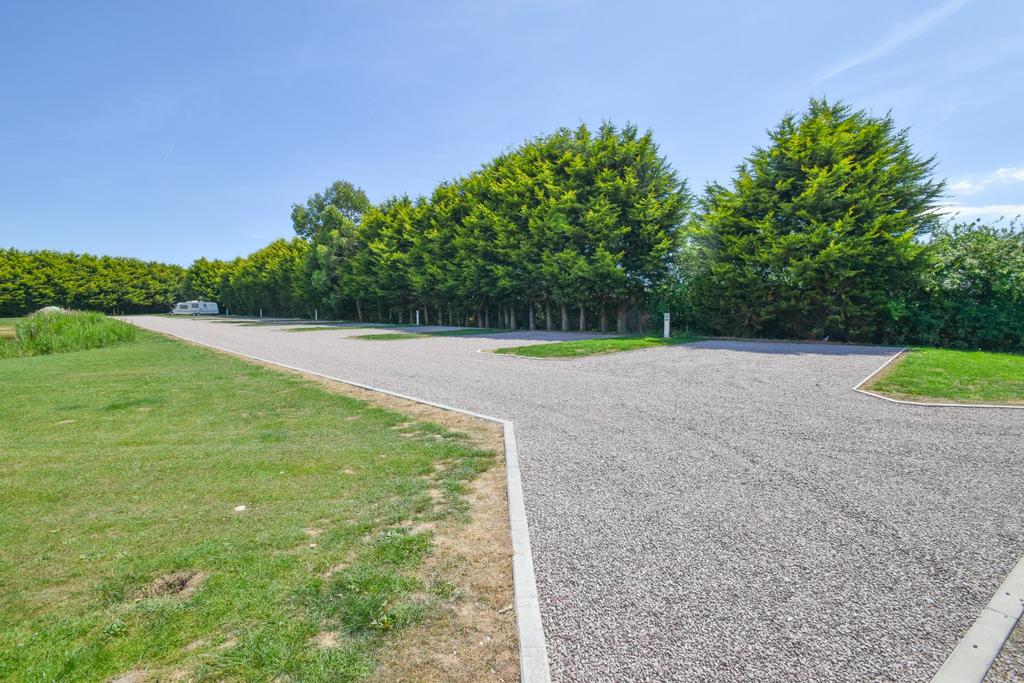 Site