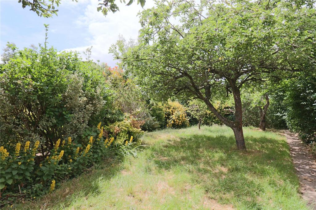 Picture No. 12