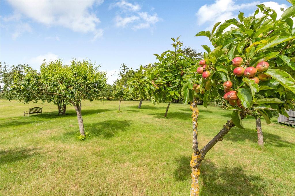 Orchard