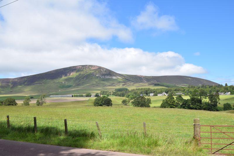 View to Tinto