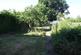 Dscf8835.jpg