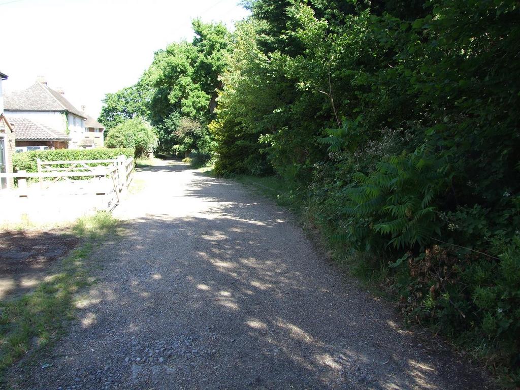 Dscf8830.jpg