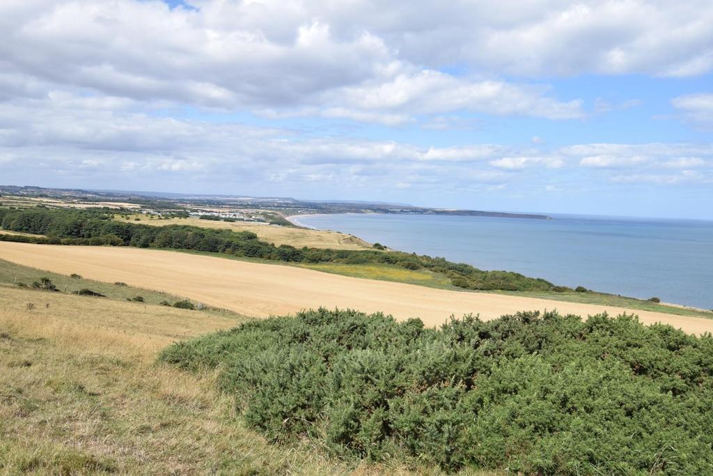 Walk From Cottage