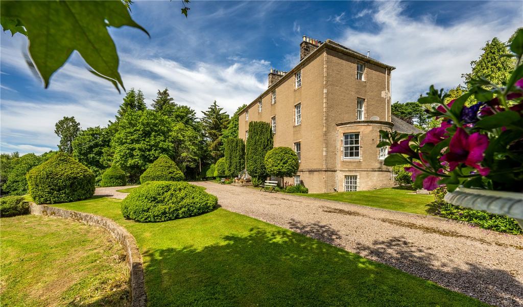 Side View