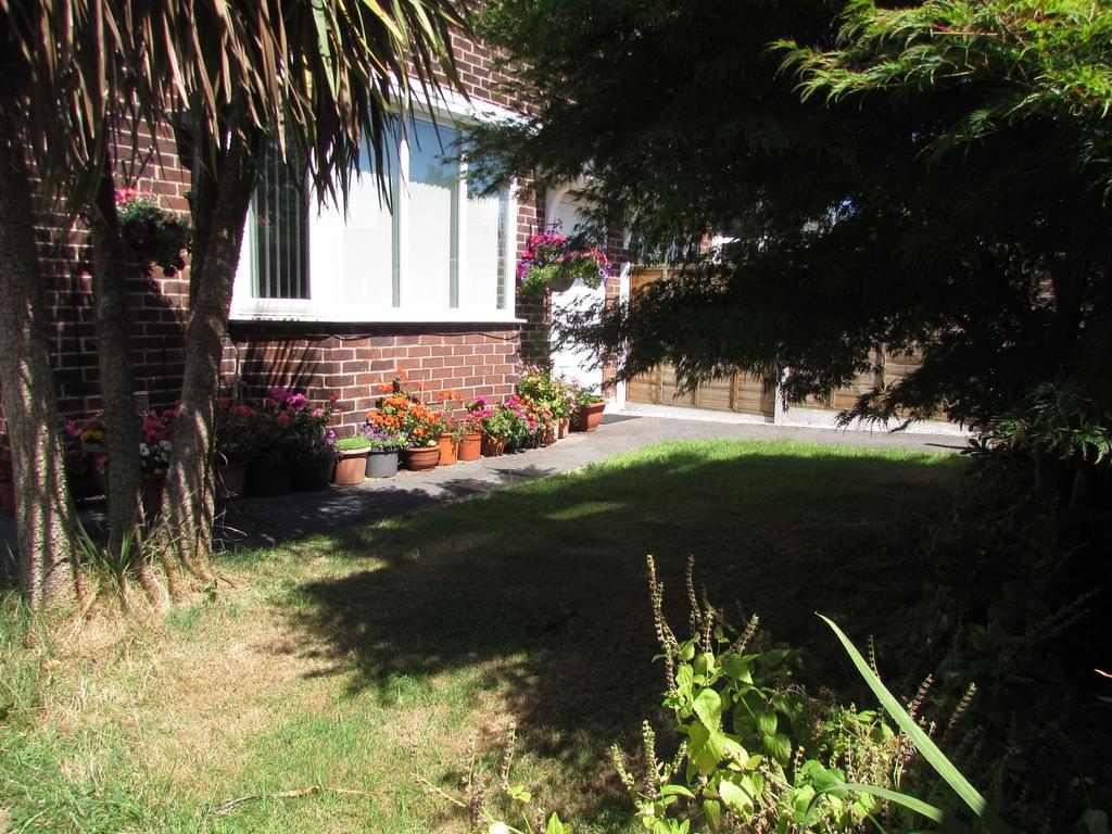 Photograph 11