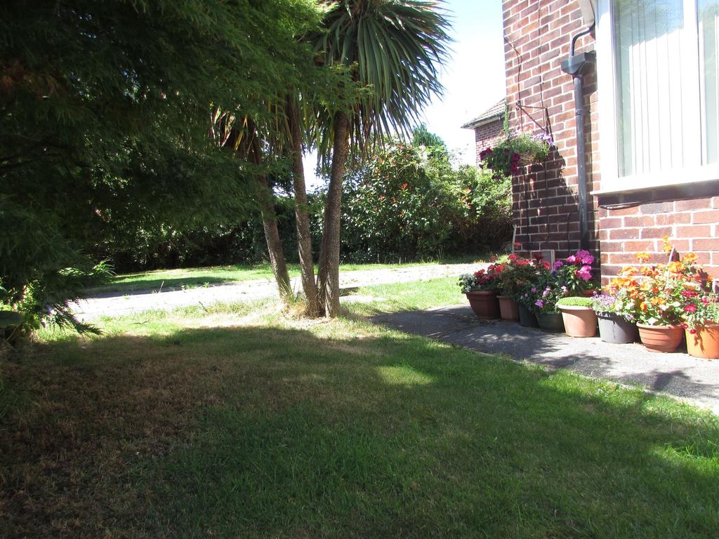 Photograph 12