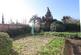 Garden.JPG