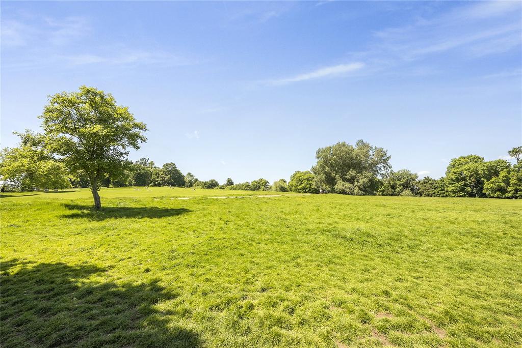 Hampstead Heath