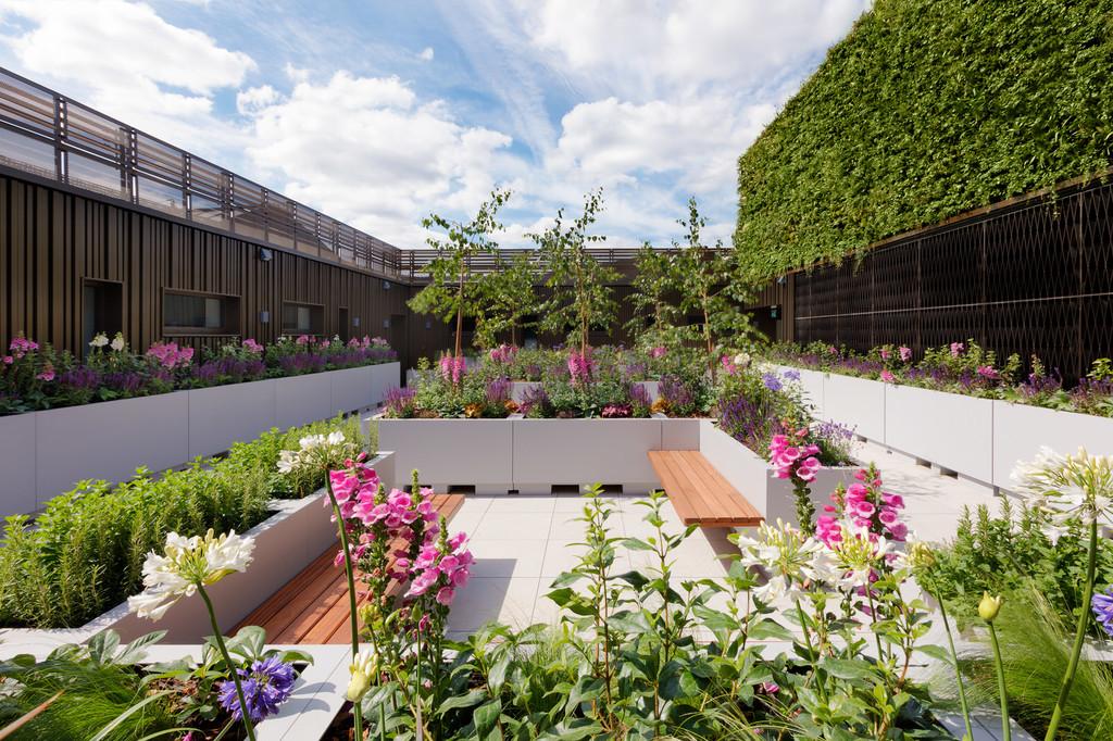 Commuanl Carnaby Lofts main