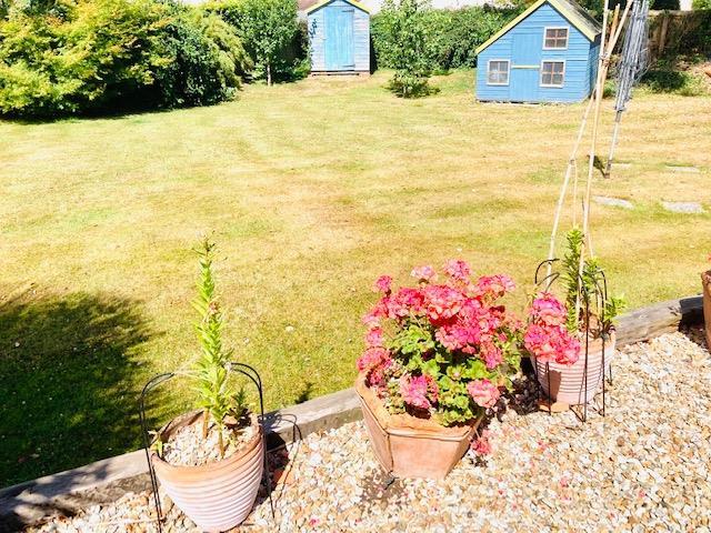 Rear garden