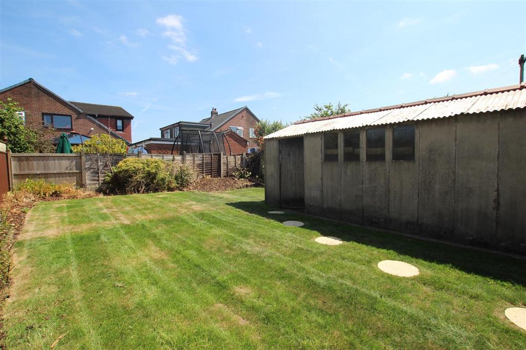 Back Garden