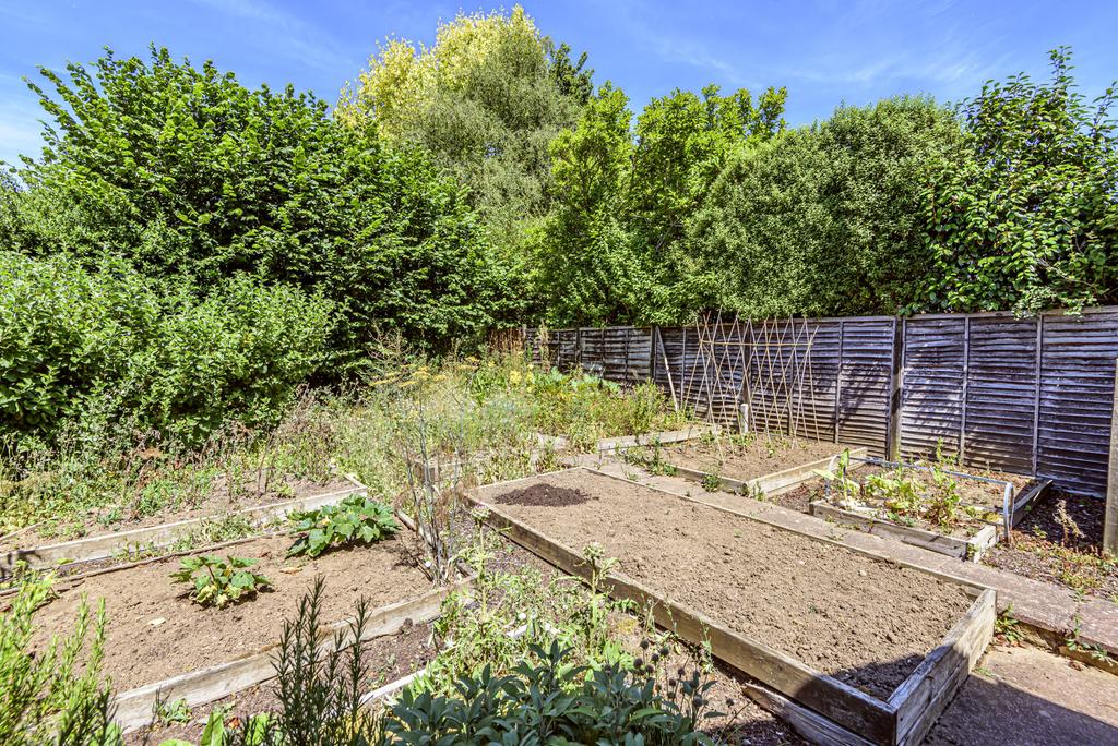 Vegetable Plot