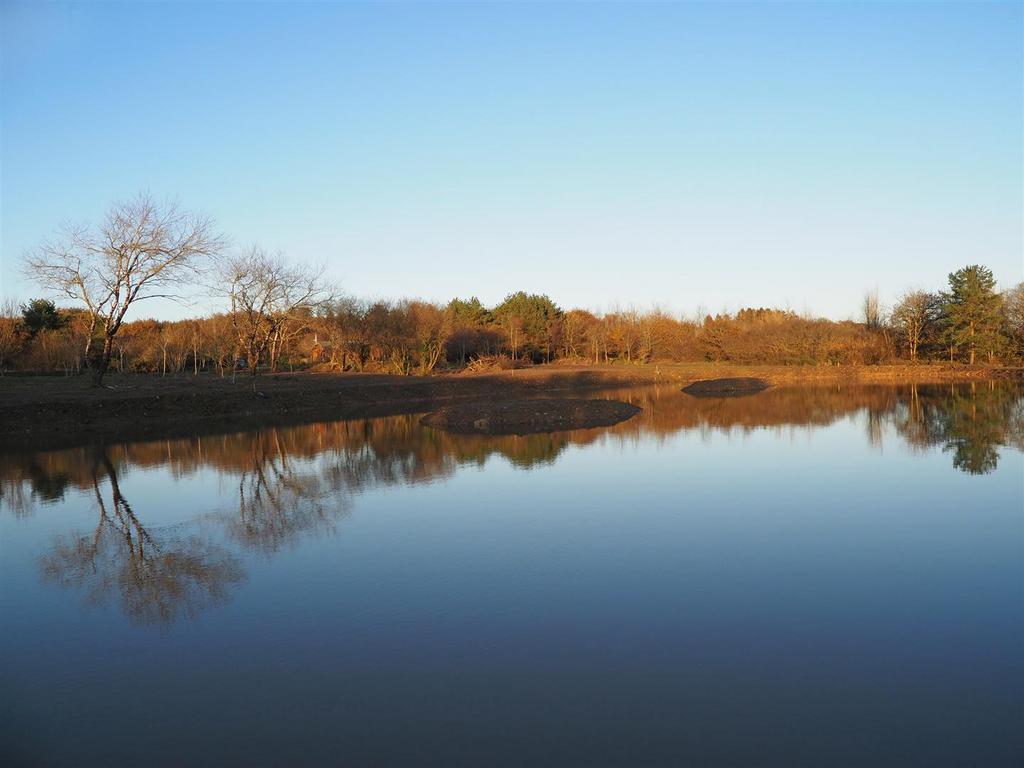 Lake view