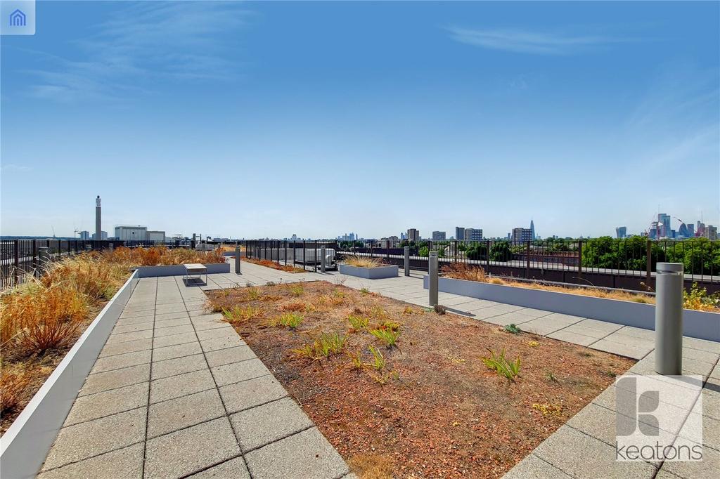 Communal Rooftop