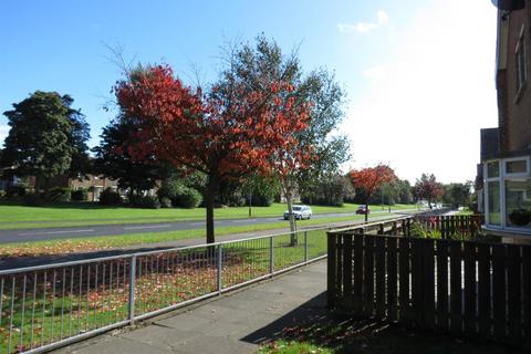 29 Basingstoke Road, Peterlee, SR8 2AR