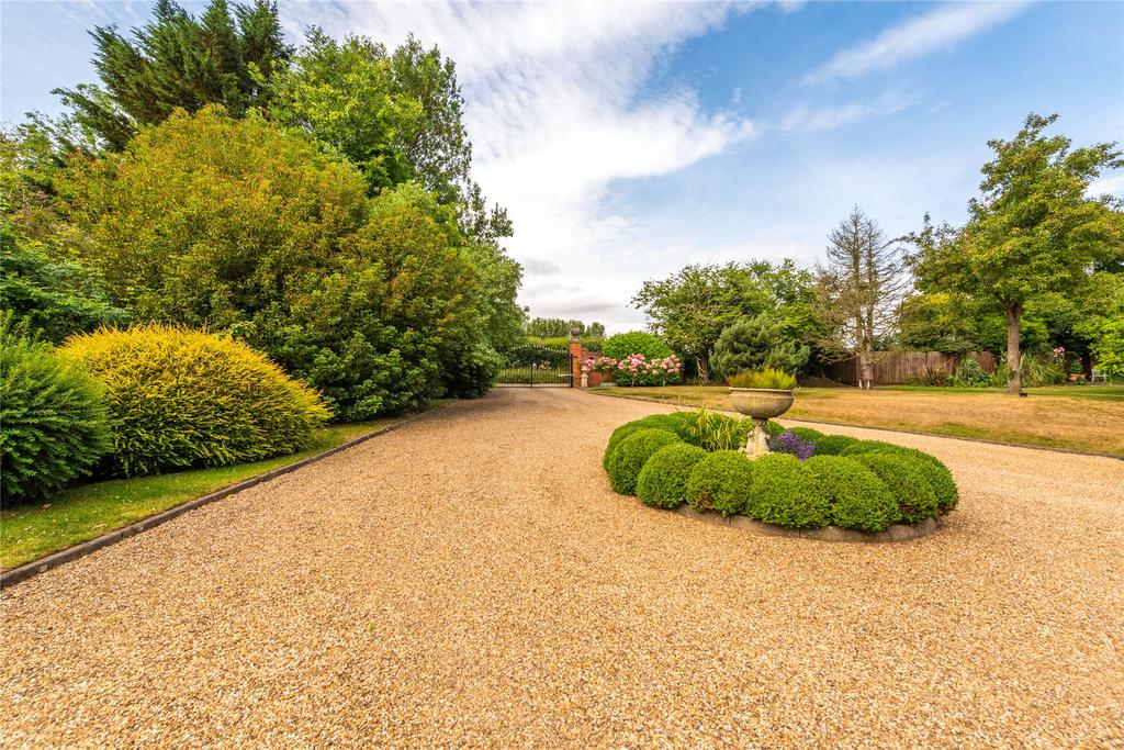 Driveway