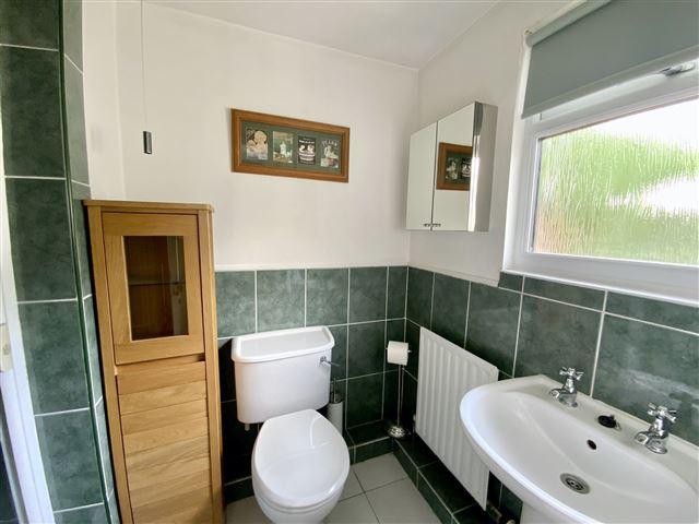 Downstairs Shower room