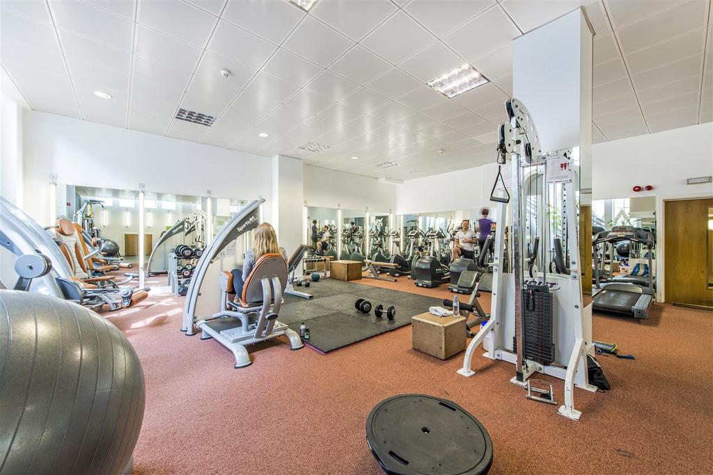 Gym (1).jpg