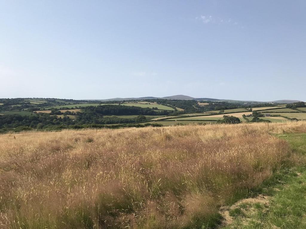 Llandissilio Land £50,000