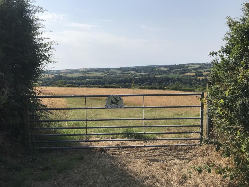 Llandissilio Land £50,000