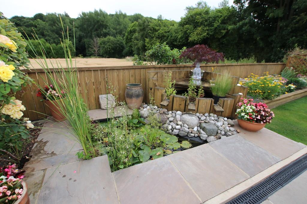 Water Feature