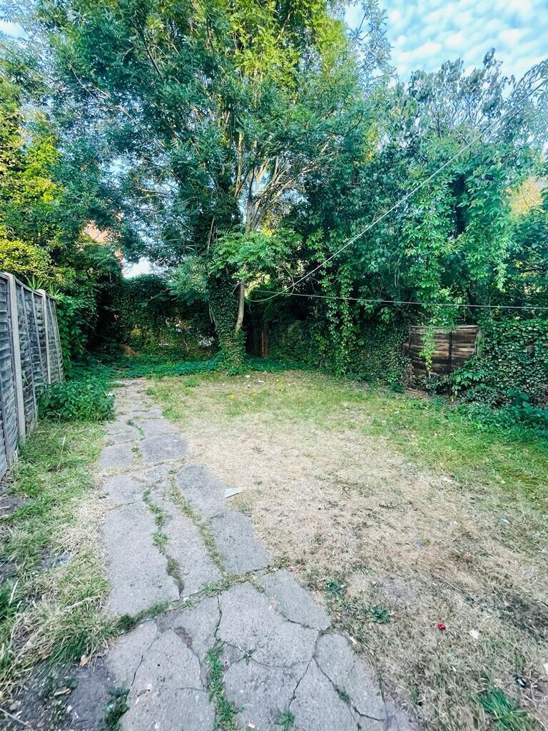 Garden.jpeg