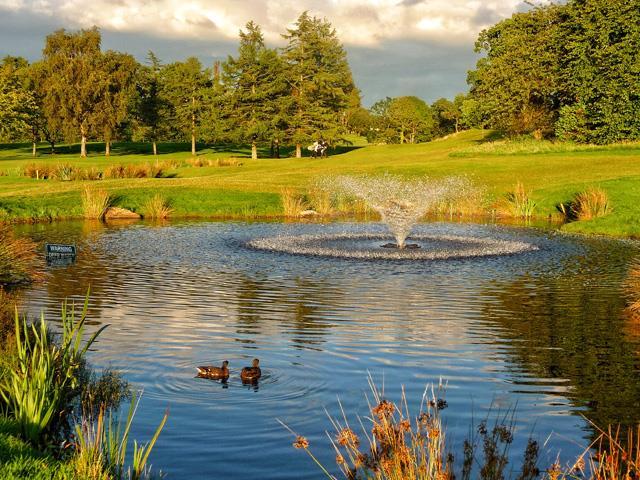 Williamwood GC.jpg