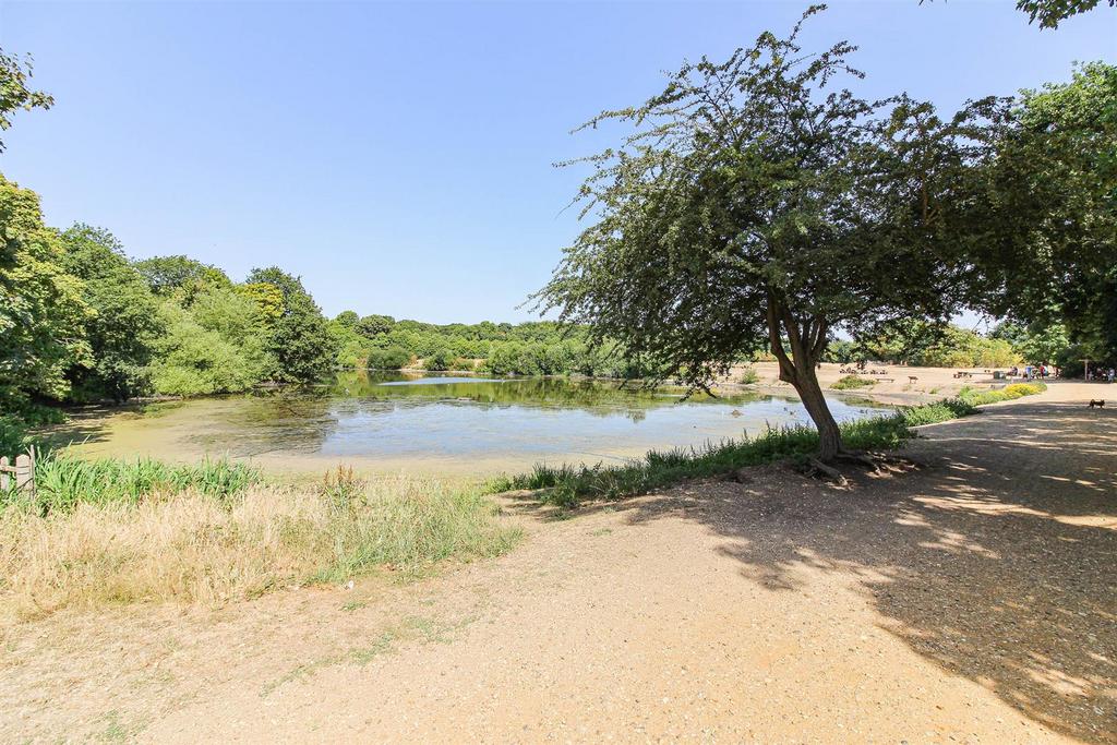 Pond.jpg